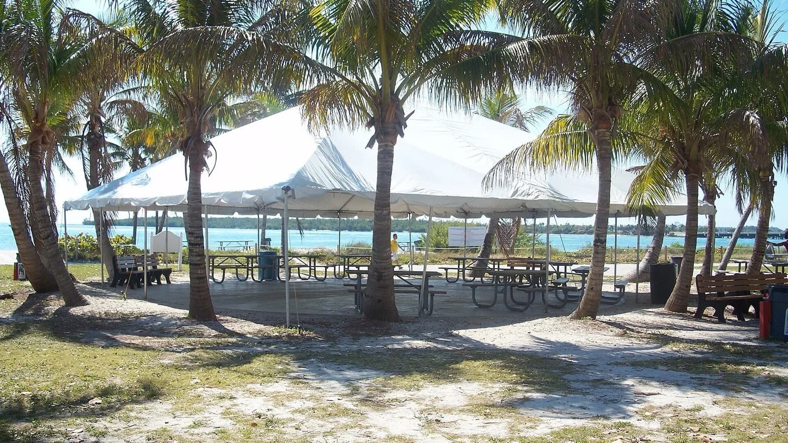 An open-sided shade pavilion with picnic tables under palm trees, the bay behind it.